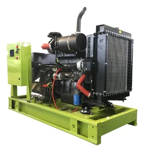 Generator Gas Generator Diesel Yang Didukung Oleh Cummins Perkins Yuchai Weichai Mitsubishi Doosan Asupan Kucing Joe