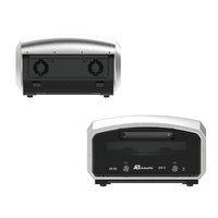 Horno Eléctrico para Pizza Anbolife, con Piedra para Hornear, 13 Pulgadas, Interior/Exterior, IPX4, Piedra Giratoria para Pizza, 90-430°C, 6 Modos de Cocción, de Sobremesa, OEM