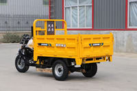 Tricycle de transport à essence, benne basculante motorisée robuste à 3 roues pour le transport agricole et agronomique