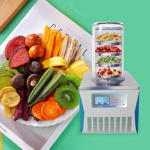 Nouveau lyophilisateur avec condenseur haute capacité contrôlé par PLC pour la transformation des aliments et la manipulation de grands volumes d'humidité - Product Image 2