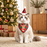 Ensemble de costumes de Noël festifs et mignons pour animaux de compagnie : bonnet de Père Noël, bandana triangulaire, doux, pour chiens et chats, écologique et réglable