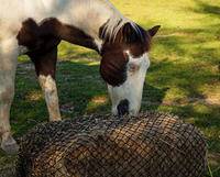 Filets à foin pour chevaux à prix d'usine, filets à foin pour gros balles, filets à foin à alimentation lente pour chevaux, filets à foin Shenzhen Ningbo pour chevaux
