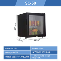 SC-50L/75L/110L petite vitrine de porte en verre bière boisson refroidisseur usage domestique réfrigérateur intelligent AC DC réfrigérateur réfrigérateur