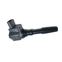 Ignition Coil for Audi RS6 RS7 S6 and S7 Engines OEM 079905110N