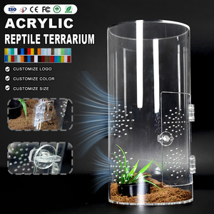 Terrarium araignée acrylique pour larves de tarentule et araignées sauteuses pour exposer les <span class=keywords><strong>insectes</strong></span> <span class=keywords><strong>arthropodes</strong></span> - Product Image 1