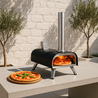 Four à pizza miniature moderne au gaz en acier inoxydable pour le camping, avec surface de cuisson de 12 pouces, prêt pour la conversion pellets/gaz