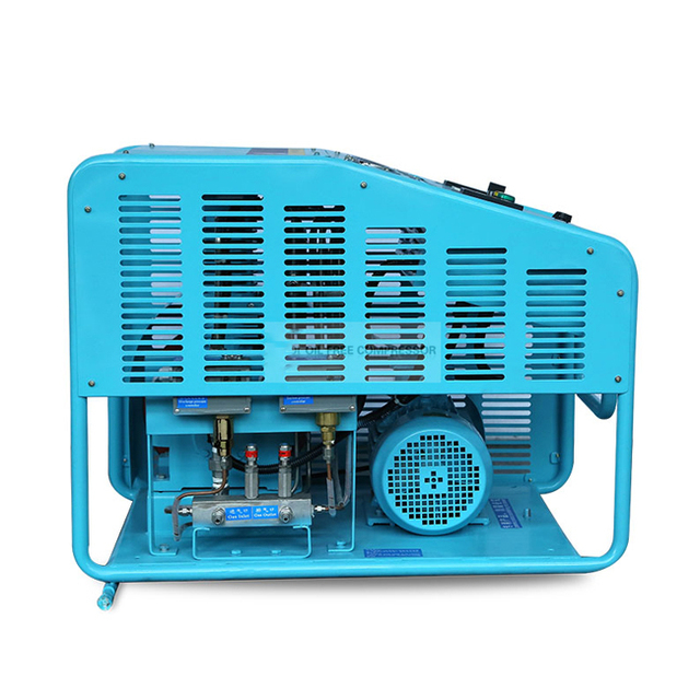 Easy Operate Small Size 3KW Oil-Free Stationary Air Compressor Reciprocating Motor Air End Cylinder Filling Two Compression
