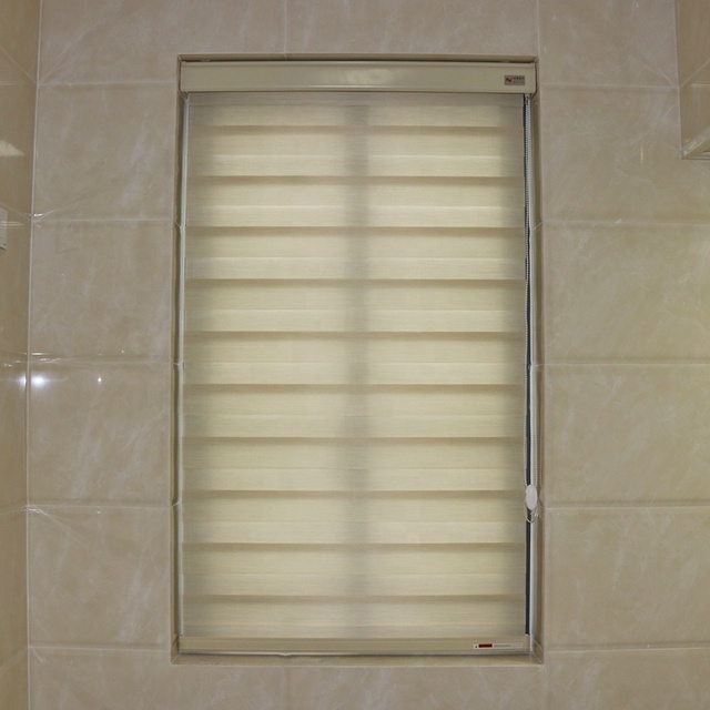Blackout Window Zebra Blind Shades Bedroom Dual Zebra Roller Blinds