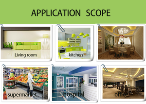 Trampas Adhesivas para <span class=keywords><strong>Ratones</strong></span>, Impermeables, Ecológicas y Desechables, para el Control de Plagas - Product Image 3