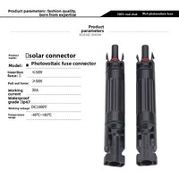 Fusible DC spécifique à l'énergie photovoltaïque, boîtier PPO IP67, type FFCFPC, connecteur de fusible 1000V, 10A/20A/30A
