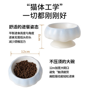 Bol en céramique dégradé pour chat, grand diamètre, anti-renversement, surélevé, antidérapant pour chats - Product Image 4