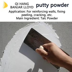 Cement Texture Smooth Stucco <b>Plaster</b> Wall Paint Building Coating - Product Image 4