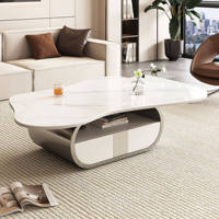 Mesa de Centro Delanto Moderna, Resistente y Ecológica, con Superficie de Piedra Sinterizada, Estante de Almacenamiento Ovalado, Cajón y Base de Acero Inoxidable MDF