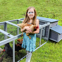 Poulailler en bois poulailler deux nichoir avec grande course extérieur lapin clapier lapin Cage poulailler costume pour 4-6 poulets