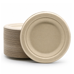 Assiettes jetables biodégradables en <span class=keywords><strong>pulpe</strong></span> <span class=keywords><strong>de</strong></span> bagasse <span class=keywords><strong>de</strong></span> <span class=keywords><strong>canne</strong></span> à sucre pour la restauration, vaisselle OEM pour fêtes - Product Image 5