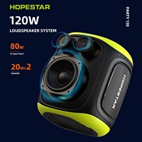 HOPESTAR Party 130 120W, enceinte portable sans fil de grande puissance pour l'extérieur, Bluetooth BT5.4, enceinte pour guitare et basse avec deux microphones