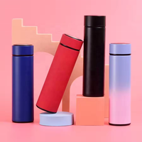 Bouteilles d'eau de 17 oz, tasse à café à double paroi chaude et froide, vente en gros, anti-fuite, portable, en acier inoxydable, écologique, bouteille à infuseur à thé