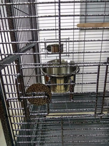 Presa di fabbrica grande gabbia per uccelli in metallo battuto nuovo Design Open Play Top per pappagallo e canarino allevamento gabbia per animali domestici - Product Image 3