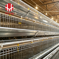 Cage à poules pondeuses de type A, alimentation et abreuvement automatiques, collecte des œufs, convoyeur de fumier, abreuvoir à tétine, acier galvanisé, 4 niveaux, pour volailles