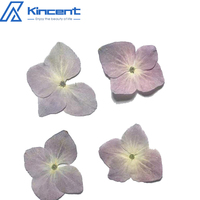 Usine directe séchée naturelle pressée fleur d'hortensia en relief bricolage goutte à goutte colle fleurs accessoires de fleurs séchées