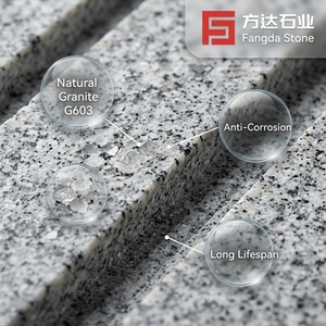 <span class=keywords><strong>Pierre</strong></span> <span class=keywords><strong>de</strong></span> dalle G603 Sésame Blanc Prix Usine <span class=keywords><strong>de</strong></span> Gros - Dalles <span class=keywords><strong>de</strong></span> <span class=keywords><strong>Pierre</strong></span> <span class=keywords><strong>Naturelle</strong></span> pour <span class=keywords><strong>Garage</strong></span> et <span class=keywords><strong>Allée</strong></span> Extérieures - Product Image 2