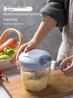 Petit hachoir manuel en acier inoxydable avec cordon de serrage, outil en PP pour hacher l'ail, le poivre, les fruits et les aliments complémentaires pour bébés