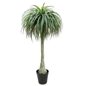 Wholesale New Design Artificial Dracaena Indoor Large Green Potted Plant For Decoration