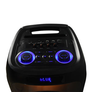 Haut-parleur DJ double 10 pouces, caisson <span class=keywords><strong>de</strong></span> basses actif <span class=keywords><strong>plage</strong></span> pa, haut-parleur <span class=keywords><strong>de</strong></span> fête professionnel - Product Image 6