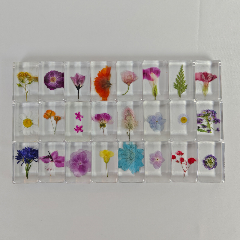 20 variétés de plantes-442916
