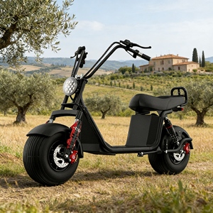 Factory Supply EScooter 2 Wheel <strong>Motorised</strong> <strong>Scooter</strong> 250W Two Wheel Electric <strong>Scooter</strong> for Teen-age - Product Image 2