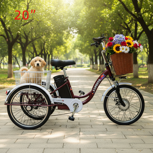 Triciclo Eléctrico para Adultos de 20 Pulgadas con Bajo Peldaño, 7 Velocidades, Ruedas Traseras Dobles Estables para el Transporte Diario Urbano de Personas Mayores - Product Image 1