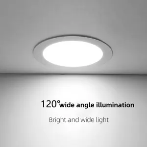 LED Panel Light 3 Color Temperature Switchable 24W Ultra-thin Ceiling Spotlight Bathroom Wall Stair Pendent Oyste Lights