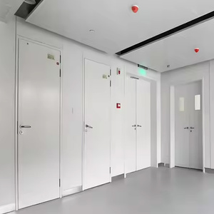 Portes d'entrée modernes en acier ignifugées sur mesure, portes coupe-feu pour écoles et hôtels, protégeant les passages - Product Image 3