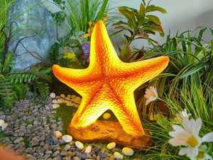 Lampe de jardin LED 5W en forme d'étoile de mer, en résine et fibre de verre, indice IP65, alimentation électrique, idéale pour les décorations de mariage et d'Halloween - Vente chaude - Product Image 1