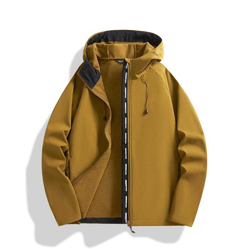 Les feuilles d'érable jaunissent