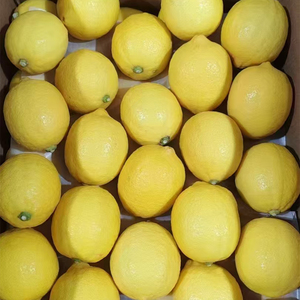 <span class=keywords><strong>Precio</strong></span> al por mayor 100% Natural <span class=keywords><strong>Naranja</strong></span> Limón Fruta fresca Limón fresco Limón amarillo Limón - Product Image 1