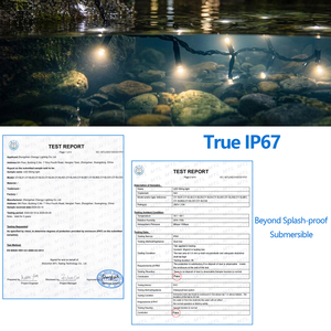 ไฟคริสต์มาส LED สำหรับตกแต่งเทศกาลขนาดใหญ่ กันน้ำ IP67 ปรับความยาวได้ ใช้กลางแจ้งในสวน พร้อมสายยาง - Product Image 2