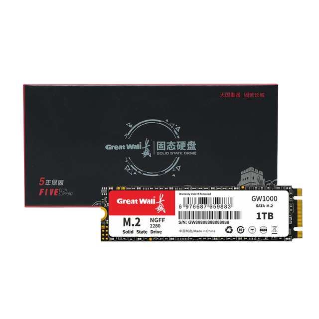 New Great Wall GW1000 M.2 2280 SATA SSD 3D NAND TLC/QLC High-Speed 550MB/s 2TB Internal Laptop 5-Year Warranty EMC FCC ROHS PCIe