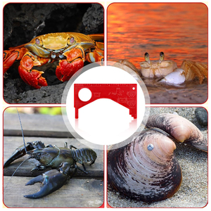 סרטנים מותאמים אישית עם מד הסרטן - Product Image 5