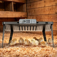 Plaque chauffante uniforme WONEGG 2026 pour poussins avec ventilateur de circulation d'air intégré
