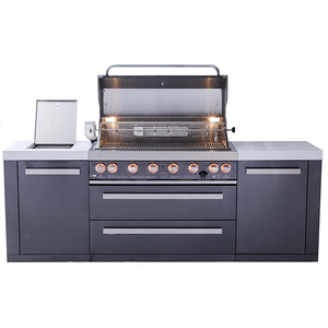 Barbacoa de Gas portátil de <span class=keywords><strong>acero</strong></span> <span class=keywords><strong>inoxidable</strong></span> <span class=keywords><strong>para</strong></span> exteriores, <span class=keywords><strong>parrilla</strong></span> de barbacoa <span class=keywords><strong>para</strong></span> jardín, usado - Product Image 5