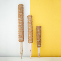 Poteau Totem en Fibre de Coco Naturelle Extensible, Bâton de Soutien pour Plantes Grimpantes (Monstera), Autres Outils Manuels, Poteau de Soutien pour Plantes de Jardin