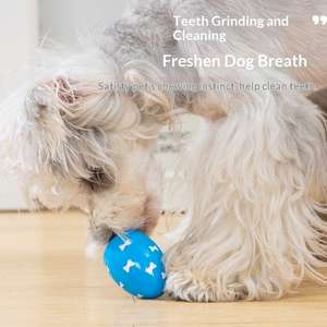 Mainan Bunyi Berbentuk Telur untuk Anjing, Berbahan Kertas, Berbentuk Molar, Berbahan Gabus, Berbentuk Teddy, dan Berbahan Karet - Product Image 2