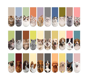Boce Customisable Personalised Foldable Magnetic Bookmark Sublimation Blank Folding Magnetic Bookmark