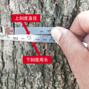 Cinta métrica mejorada para árboles de 2 m, regla de diámetro de acero inoxidable con bloqueo automático para uso forestal - Product Image 2