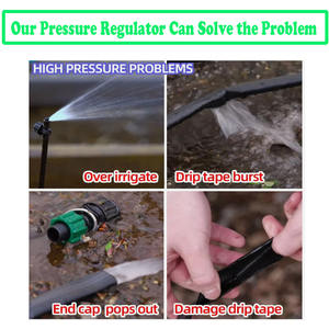Nuevo Kit <span class=keywords><strong>de</strong></span> <span class=keywords><strong>Riego</strong></span> <span class=keywords><strong>por</strong></span> <span class=keywords><strong>Goteo</strong></span>, <span class=keywords><strong>Regulador</strong></span> <span class=keywords><strong>de</strong></span> Presión <span class=keywords><strong>de</strong></span> 10 PSI, Rosca Hembra <span class=keywords><strong>de</strong></span> 3/4'', Sistema <span class=keywords><strong>de</strong></span> Micro <span class=keywords><strong>Riego</strong></span> <span class=keywords><strong>por</strong></span> <span class=keywords><strong>Goteo</strong></span> - Product Image 6