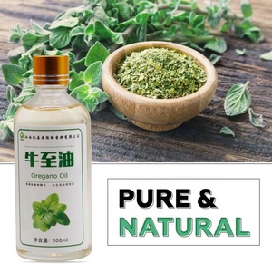 オレガノオイル オレガノ精油 カルバクロール オーガニックオイル 食品グレード 工場卸売 大量 無料サンプル ISOおよびFDA認証 - Product Image 4