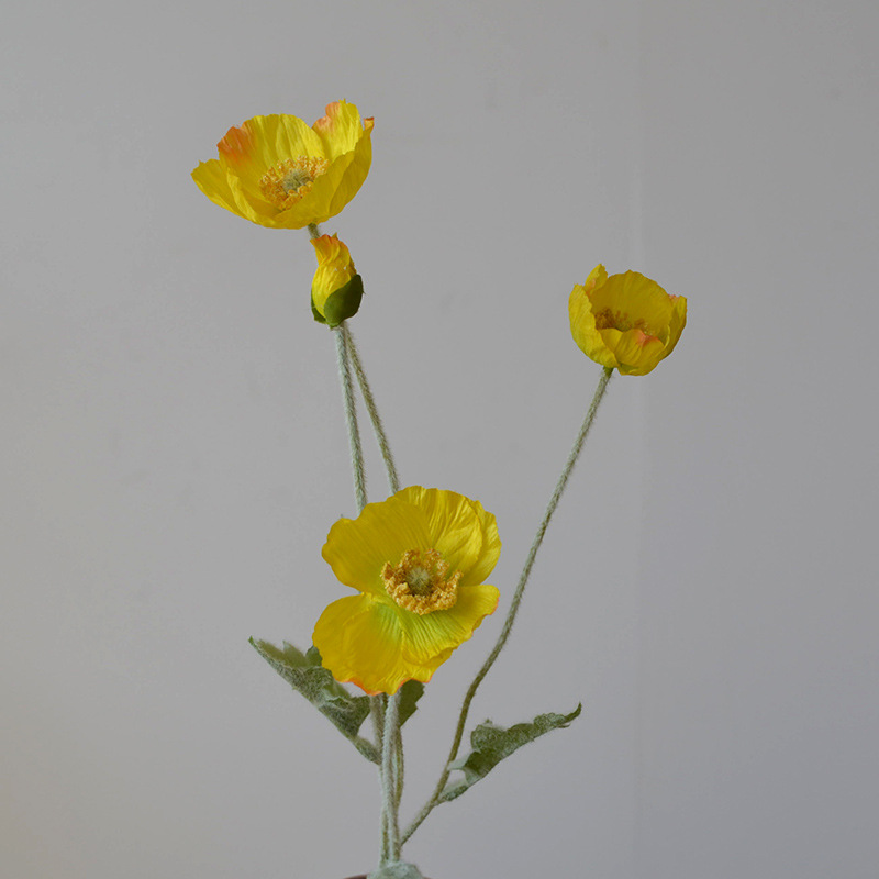 Jaune