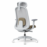 Support direct usine pour la personnalisation, la configuration et la couleur. Chaises de bureau ergonomiques, chaises de direction et chaises d'étude.
