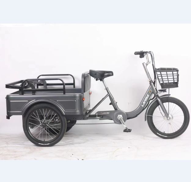 High Quality 48V12 20Ah Electric Tricycles